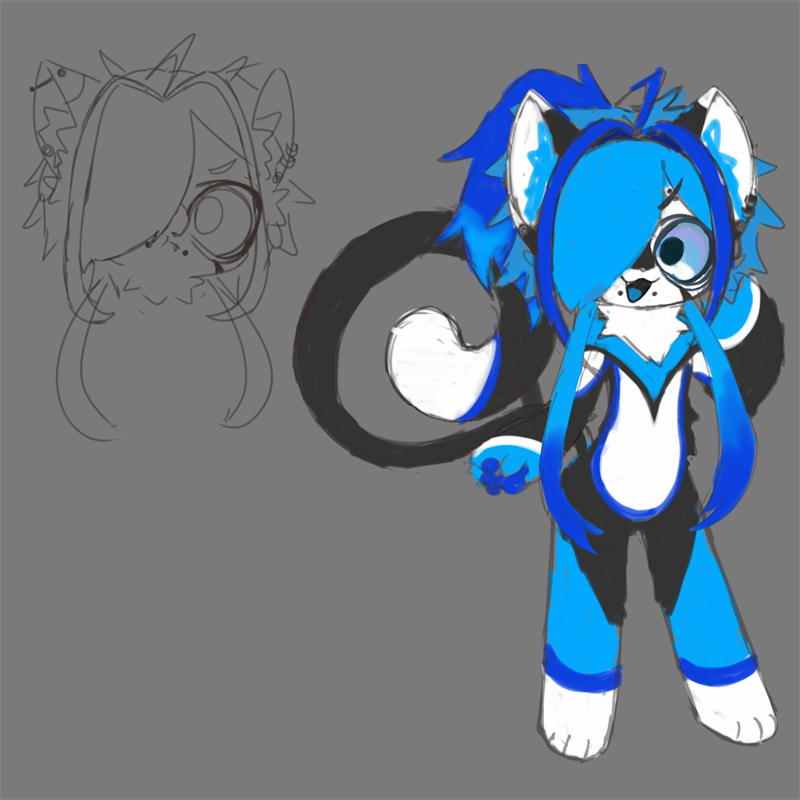 Concept art on grey: a lineart head sketch on the left and a coloured bright-blue and black cat character with a hair-covered eye, ear piercings and a curled black tail on the right.